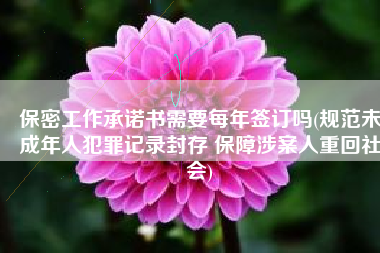 保密工作承诺书需要每年签订吗(规范未成年人犯罪记录封存 保障涉案人重回社会)