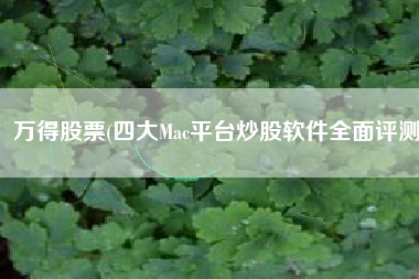 万得股票(四大Mac平台炒股软件全面评测)