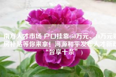 南方人才市场 户口挂靠(50万元、10万元购房补贴等你来拿！河源和平发布人才新政“智享十条”)