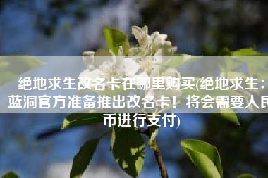 绝地求生改名卡在哪里购买(绝地求生：蓝洞官方准备推出改名卡！将会需要人民币进行支付)