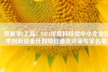 佟星宇(上海：2021年度科技型中小企业技术创新资金计划项目通讯评审专家名单)