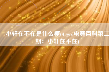 小轩在不在是什么梗(Aggro电竞百科第二期：小轩在不在)