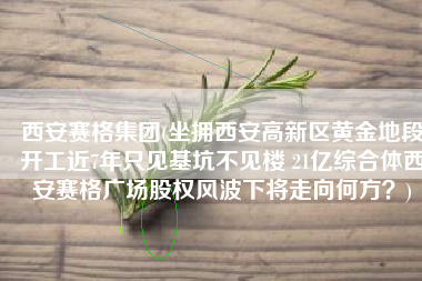 西安赛格集团(坐拥西安高新区黄金地段开工近7年只见基坑不见楼 21亿综合体西安赛格广场股权风波下将走向何方？)