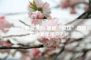 questmobile数据准吗(谁能“抓住”直播间的中老年用户？)