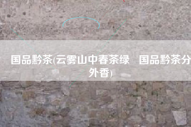 国品黔茶(云雾山中春茶绿   国品黔茶分外香)