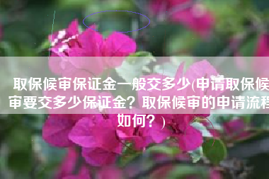 取保候审保证金一般交多少(申请取保候审要交多少保证金？取保候审的申请流程如何？)