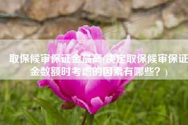 取保候审保证金最高(决定取保候审保证金数额时考虑的因素有哪些？)