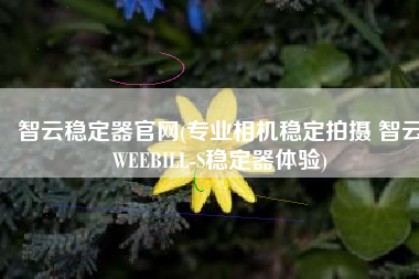 智云稳定器官网(专业相机稳定拍摄 智云WEEBILL-S稳定器体验)