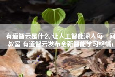 有道智云是什么(让人工智能深入每一间教室 有道智云发布全新智能学习终端)