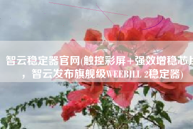 智云稳定器官网(触控彩屏+强效增稳芯片，智云发布旗舰级WEEBILL 2稳定器)