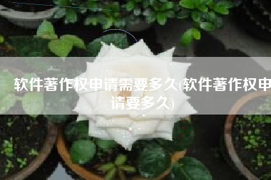 软件著作权申请需要多久(软件著作权申请要多久)