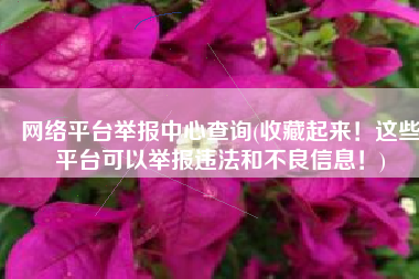 网络平台举报中心查询(收藏起来！这些平台可以举报违法和不良信息！)