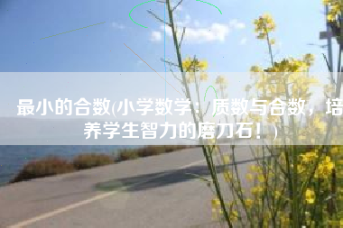 最小的合数(小学数学：质数与合数，培养学生智力的磨刀石！)