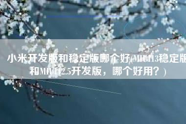 小米开发版和稳定版哪个好(MIUI13稳定版和MIUI12.5开发版，哪个好用？)