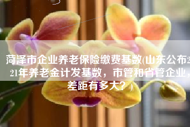 菏泽市企业养老保险缴费基数(山东公布2021年养老金计发基数，市管和省管企业，差距有多大？)