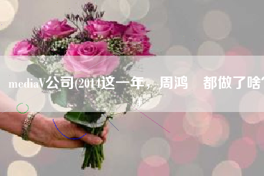 mediaV公司(2014这一年，周鸿祎都做了啥？)