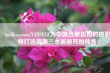 mediav.com(YANSELF为中国热爱街拍的摄影师打造的第三本画册开始预售)