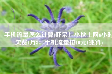 手机流量怎么计算(吓呆！小伙上网6小时欠费1万8：手机流量按10元1兆算)