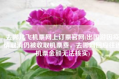 去哪儿飞机票网上订票官网(出国游因疫情取消仍被收取机票费，去哪网回应往返机票金额无法核实)