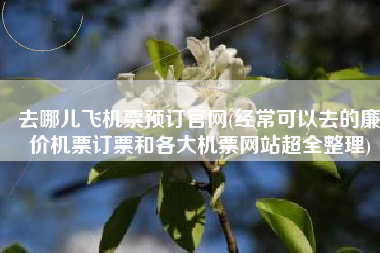 去哪儿飞机票预订官网(经常可以去的廉价机票订票和各大机票网站超全整理)