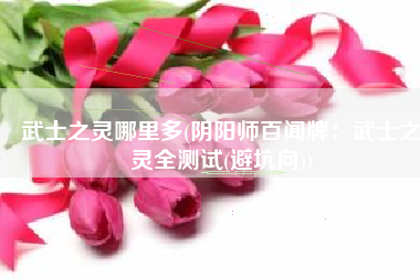 武士之灵哪里多(阴阳师百闻牌：武士之灵全测试(避坑向))
