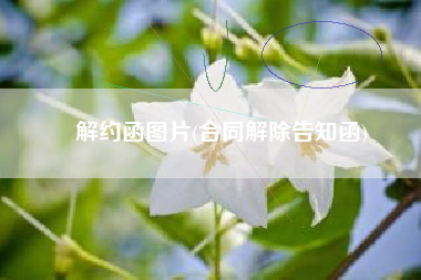 解约函图片(合同解除告知函)