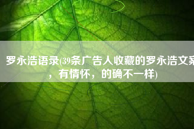 罗永浩语录(39条广告人收藏的罗永浩文案，有情怀，的确不一样)