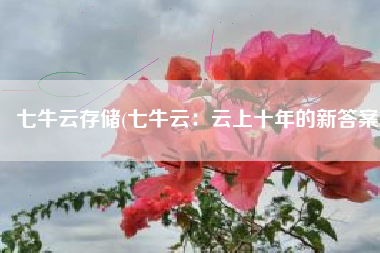 七牛云存储(七牛云：云上十年的新答案)