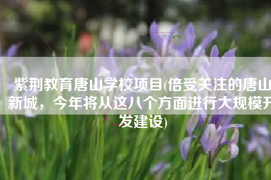 紫荆教育唐山学校项目(倍受关注的唐山新城，今年将从这八个方面进行大规模开发建设)