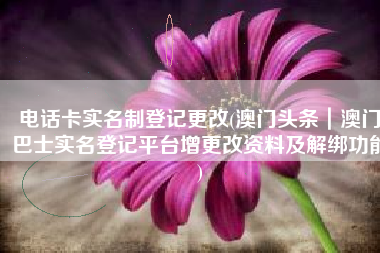 电话卡实名制登记更改(澳门头条｜澳门巴士实名登记平台增更改资料及解绑功能)