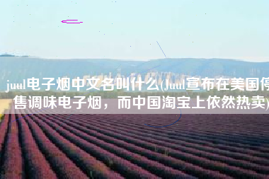 juul电子烟中文名叫什么(Juul宣布在美国停售调味电子烟，而中国淘宝上依然热卖)