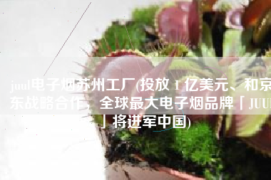 juul电子烟苏州工厂(投放 1 亿美元、和京东战略合作，全球最大电子烟品牌「JUUL」将进军中国)