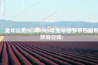 兔年运势2023年(2023年兔年春节节日假期放假安排)