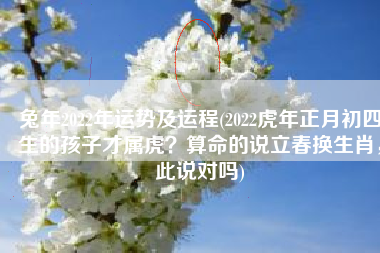 兔年2022年运势及运程(2022虎年正月初四生的孩子才属虎？算命的说立春换生肖，此说对吗)
