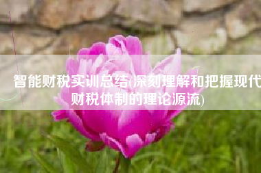 智能财税实训总结(深刻理解和把握现代财税体制的理论源流)