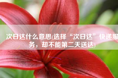 次日达什么意思(选择“次日达”快递服务，却不能第二天送达)