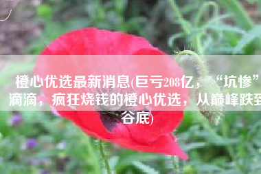 橙心优选最新消息(巨亏208亿，“坑惨”滴滴，疯狂烧钱的橙心优选，从巅峰跌到谷底)