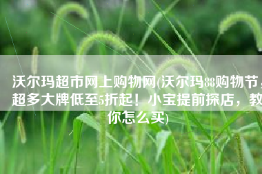 沃尔玛超市网上购物网(沃尔玛88购物节，超多大牌低至5折起！小宝提前探店，教你怎么买)