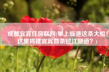 成都宜宾住房联网(攀上临港这条大船！这里将建宜宾首条过江隧道？)