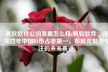 帆软软件公司发展怎么样(帆软软件：连续四年中国BI市占率第一，布局克制而专注的未来赛道)