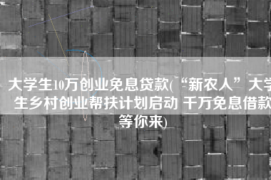 大学生10万创业免息贷款(“新农人”大学生乡村创业帮扶计划启动 千万免息借款等你来)
