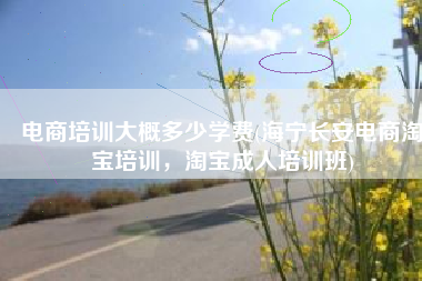电商培训大概多少学费(海宁长安电商淘宝培训，淘宝成人培训班)