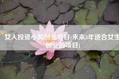女人投资小的创业项目(未来3年适合女生创业的项目)