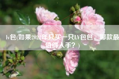 lv包(如果2022年只买一只LV包包，哪款最值得入手？)