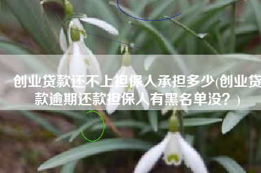 创业贷款还不上担保人承担多少(创业贷款逾期还款担保人有黑名单没？)