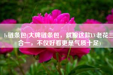 lv链条包(大牌链条包，就服这款LV老花三合一，不仅好看更是气质十足)