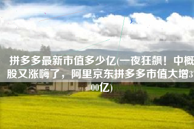 拼多多最新市值多少亿(一夜狂飙！中概股又涨嗨了，阿里京东拼多多市值大增3700亿)
