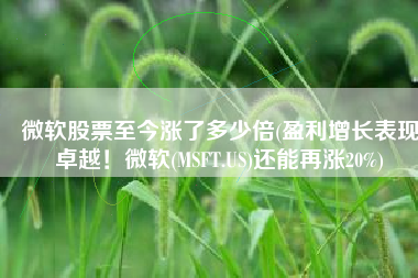 微软股票至今涨了多少倍(盈利增长表现卓越！微软(MSFT.US)还能再涨20%)