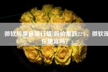 微软股票最新行情(股价累跌22%，微软现在便宜吗？)