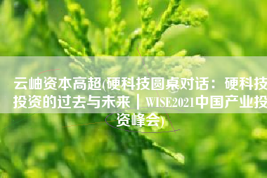 云岫资本高超(硬科技圆桌对话：硬科技投资的过去与未来｜WISE2021中国产业投资峰会)